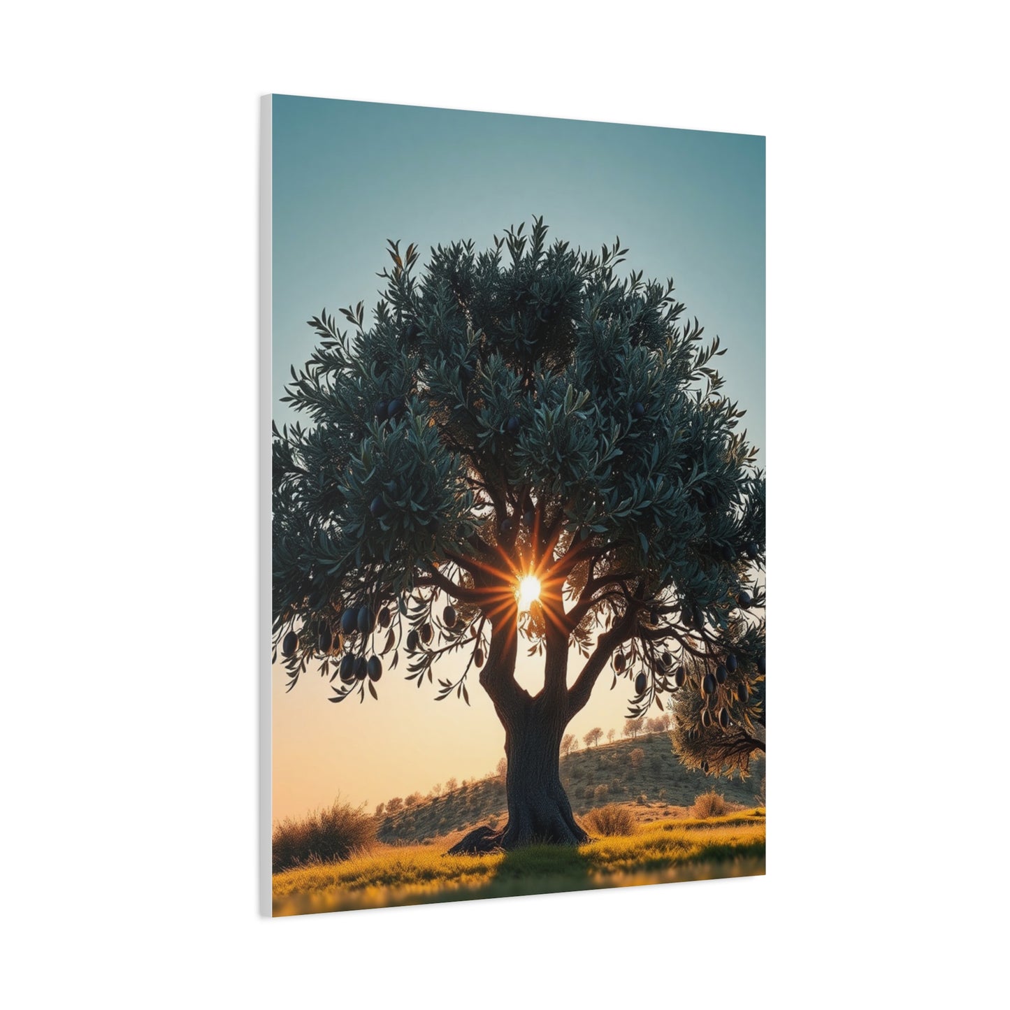 Collection Olive Tree Art Art Wall Art & Canvas Print