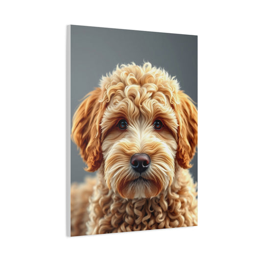 Supreme Golden Doodle Art Collection Wall Art & Canvas Print