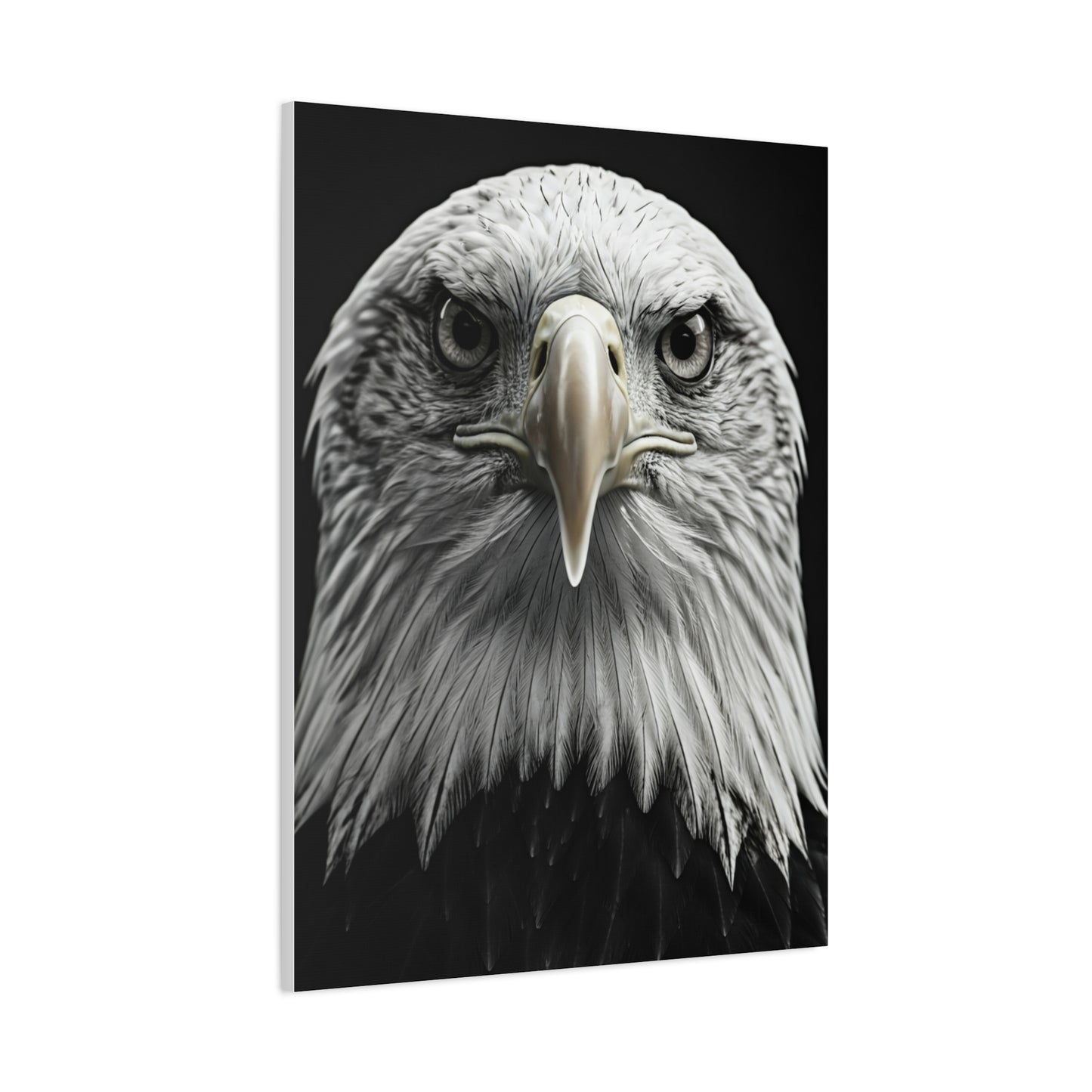 Bald Eagle Power Portrait Wall Art & Canvas Prints
