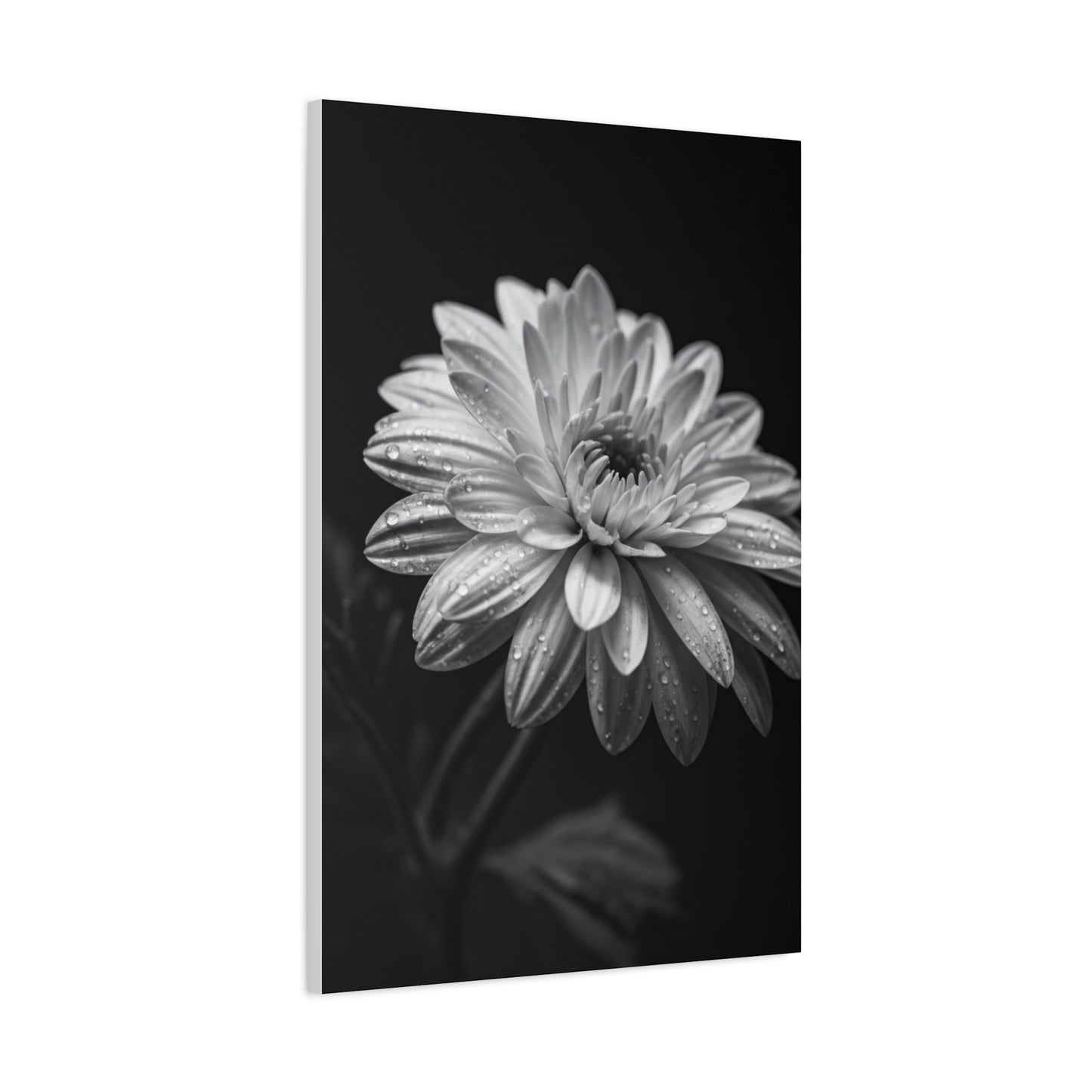 Peony Elegance in Monochrome Wall Art & Canvas Prints