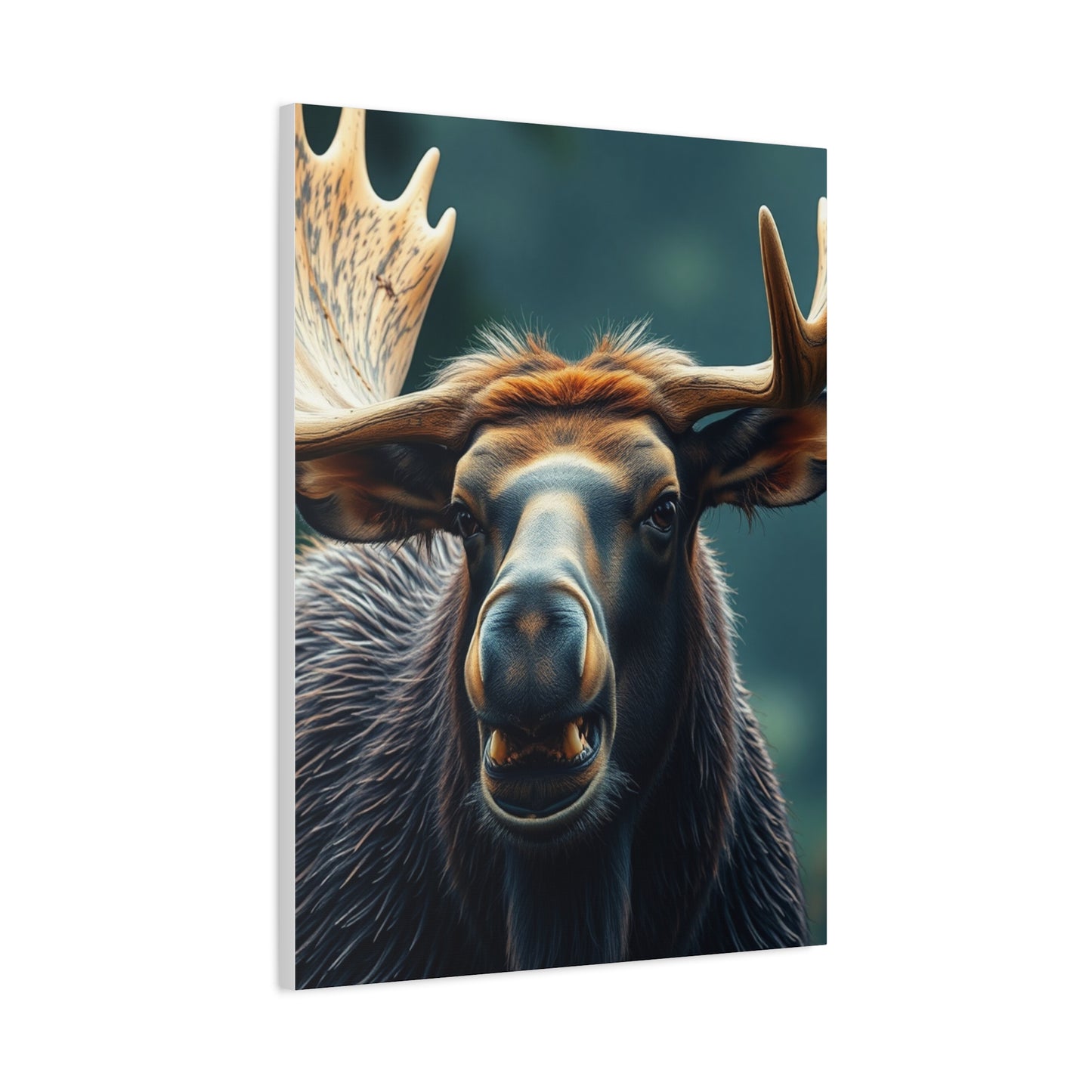 Elite Moose Art Vision Wall Art & Canvas Print