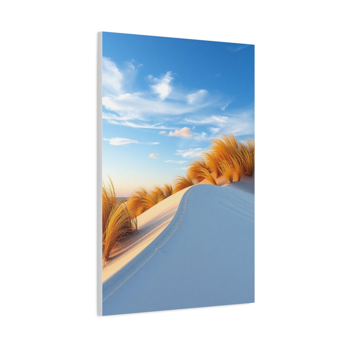 Coastal Sand Dunes Art Supreme Gallery Wall Art & Canvas Print