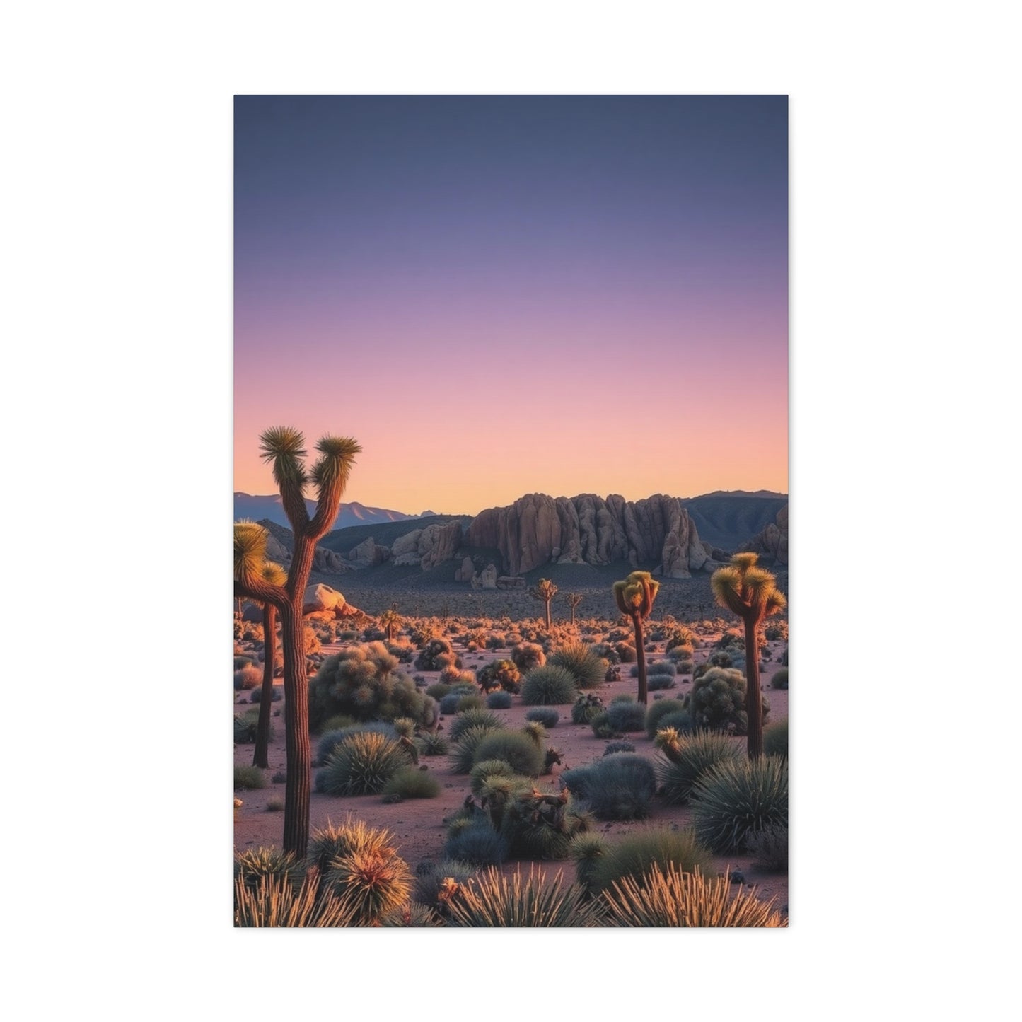 Joshua Tree National Park Art Supreme Gallery Wall Art & Canvas Print