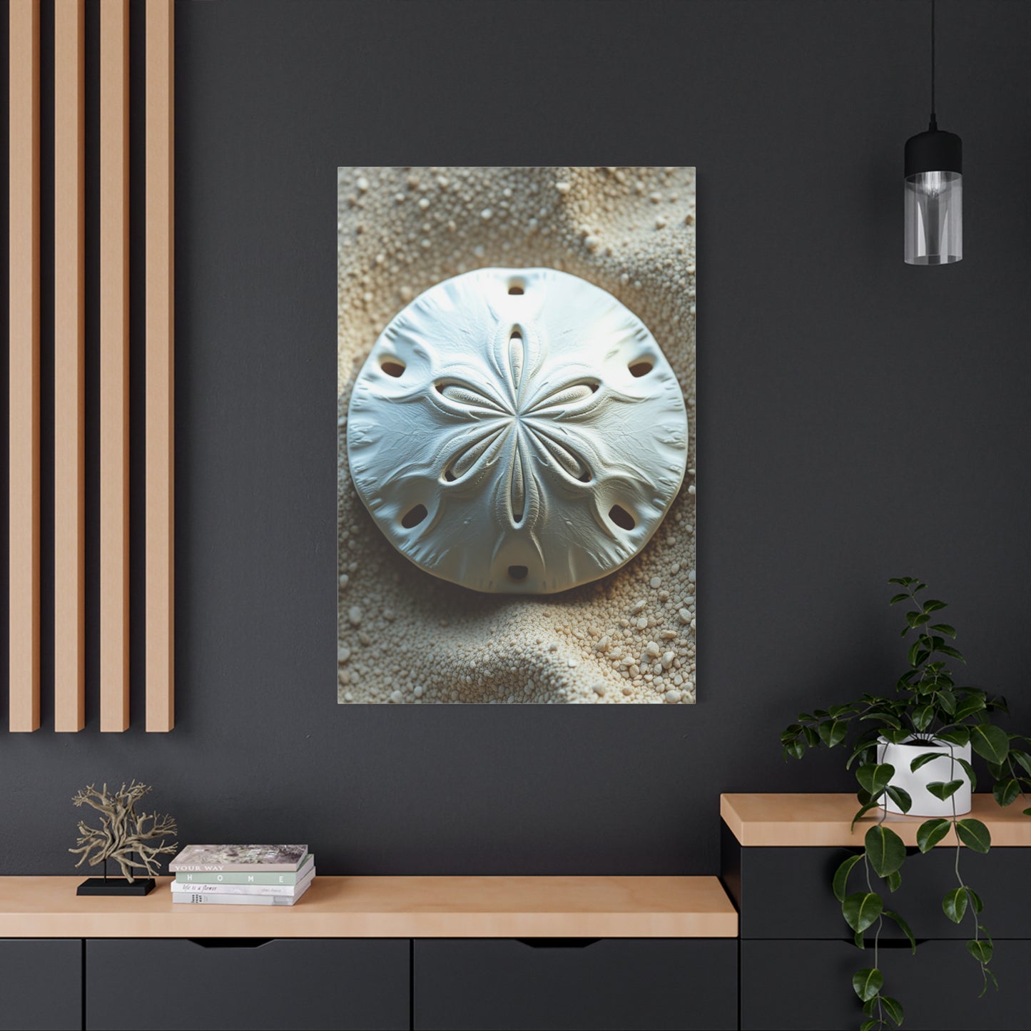 Vision Sand Dollar Art Art Wall Art & Canvas Print