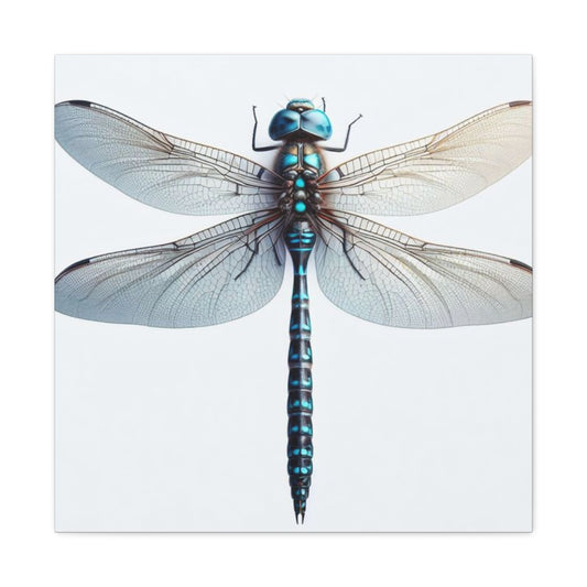 Blue Dragonfly Wall Art & Canvas Prints