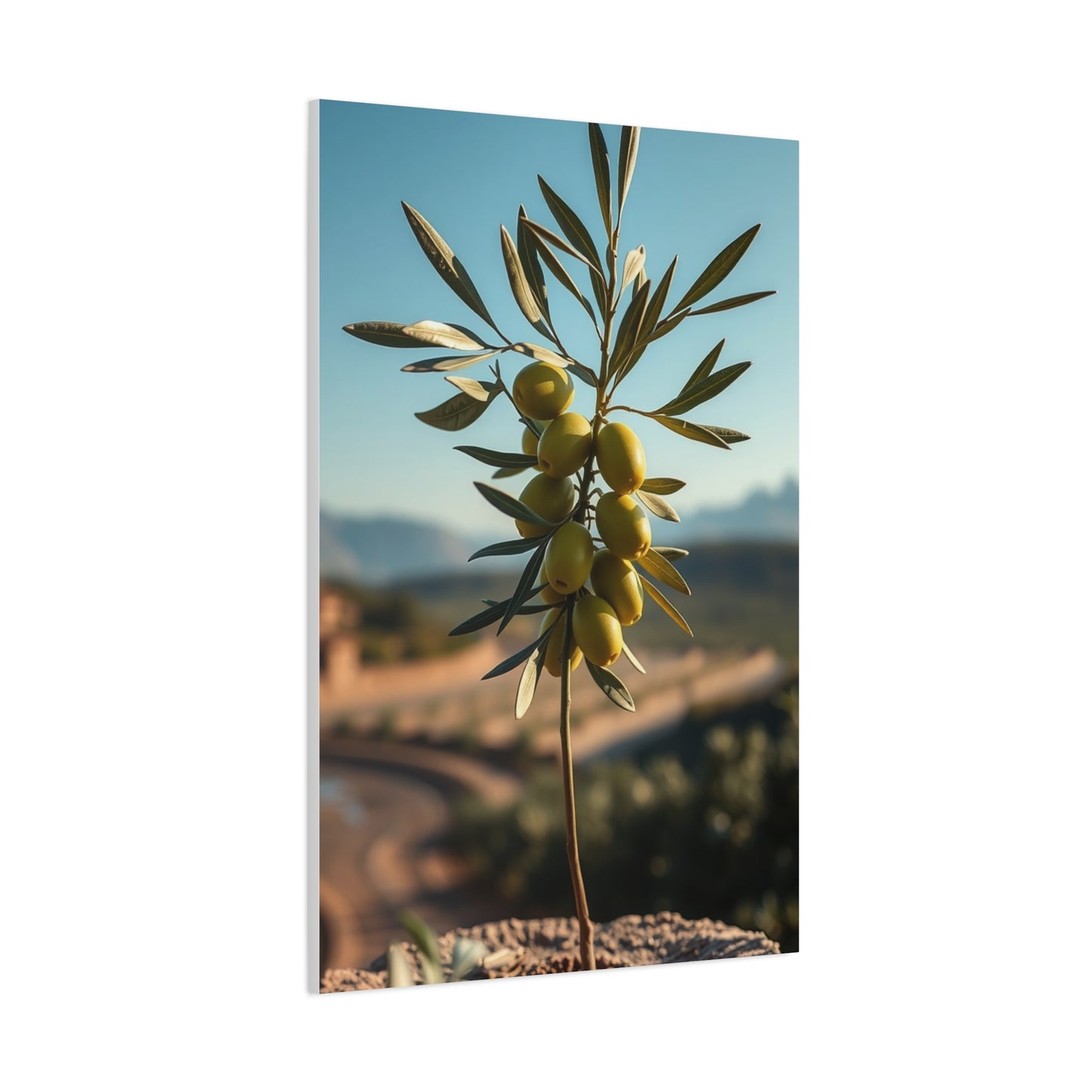 Sublime Verde Collection