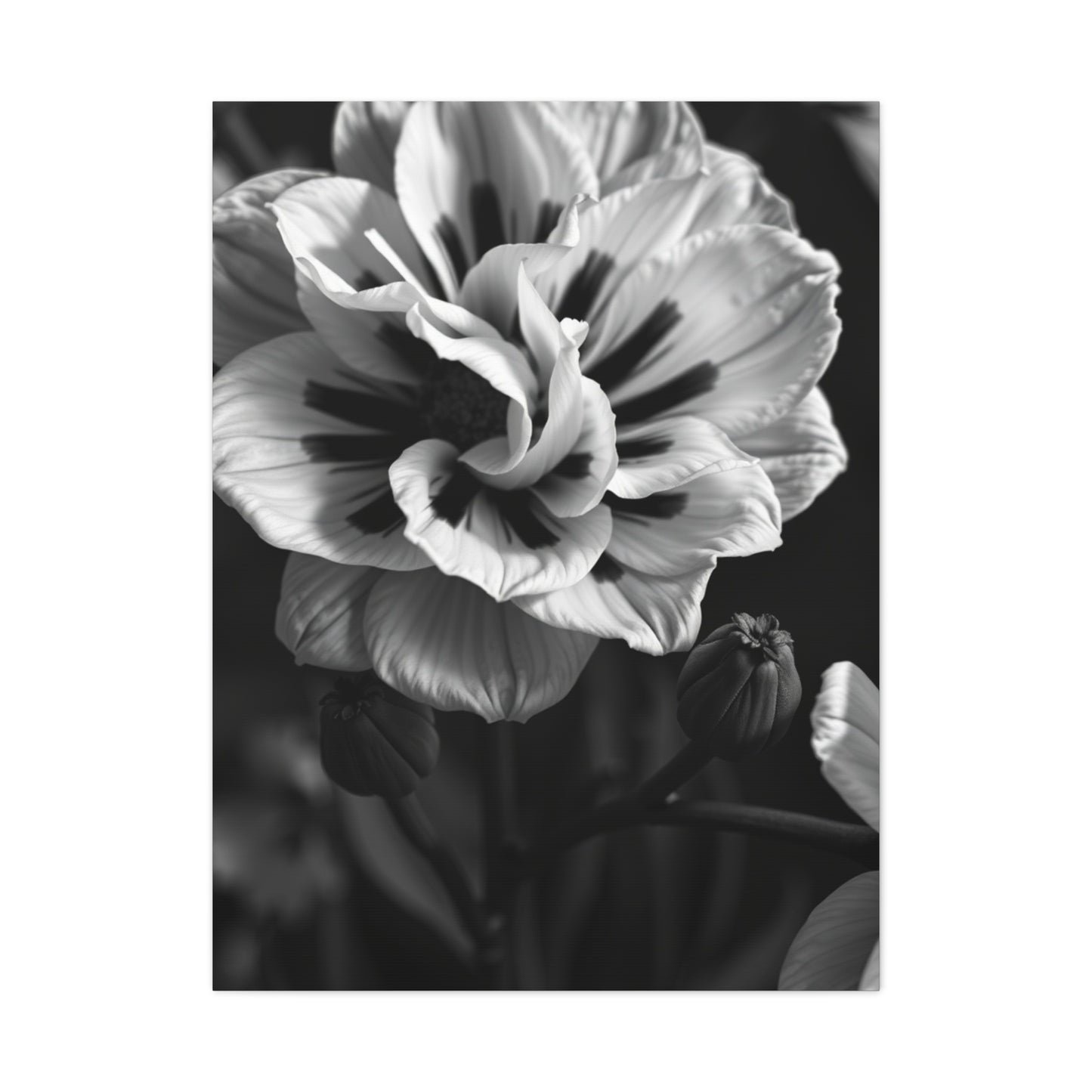 Chiaroscuro Botanical Canvas Wall Art & Canvas Print