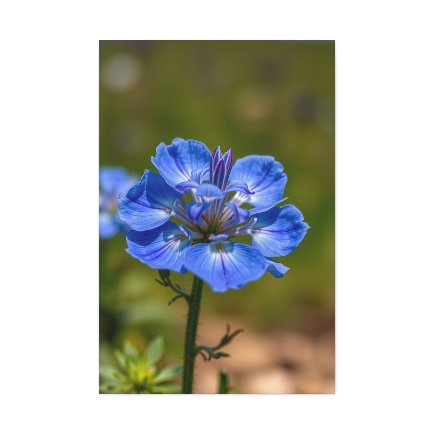 Supreme Bluebonnet Flower Art Collection Wall Art & Canvas Print