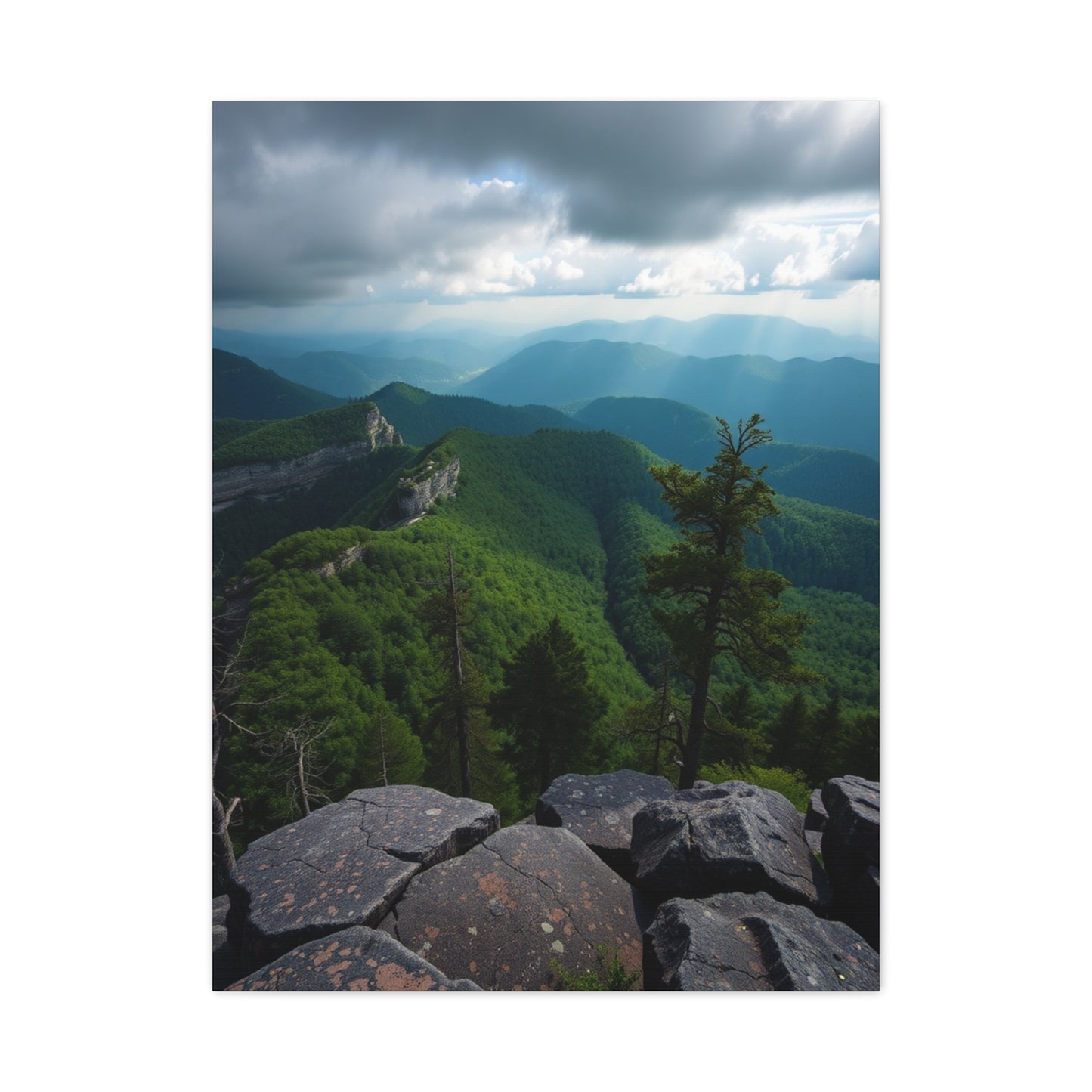 Great Smoky Mountain National Park Art Refined Canvas Wall Art & Canvas Print
