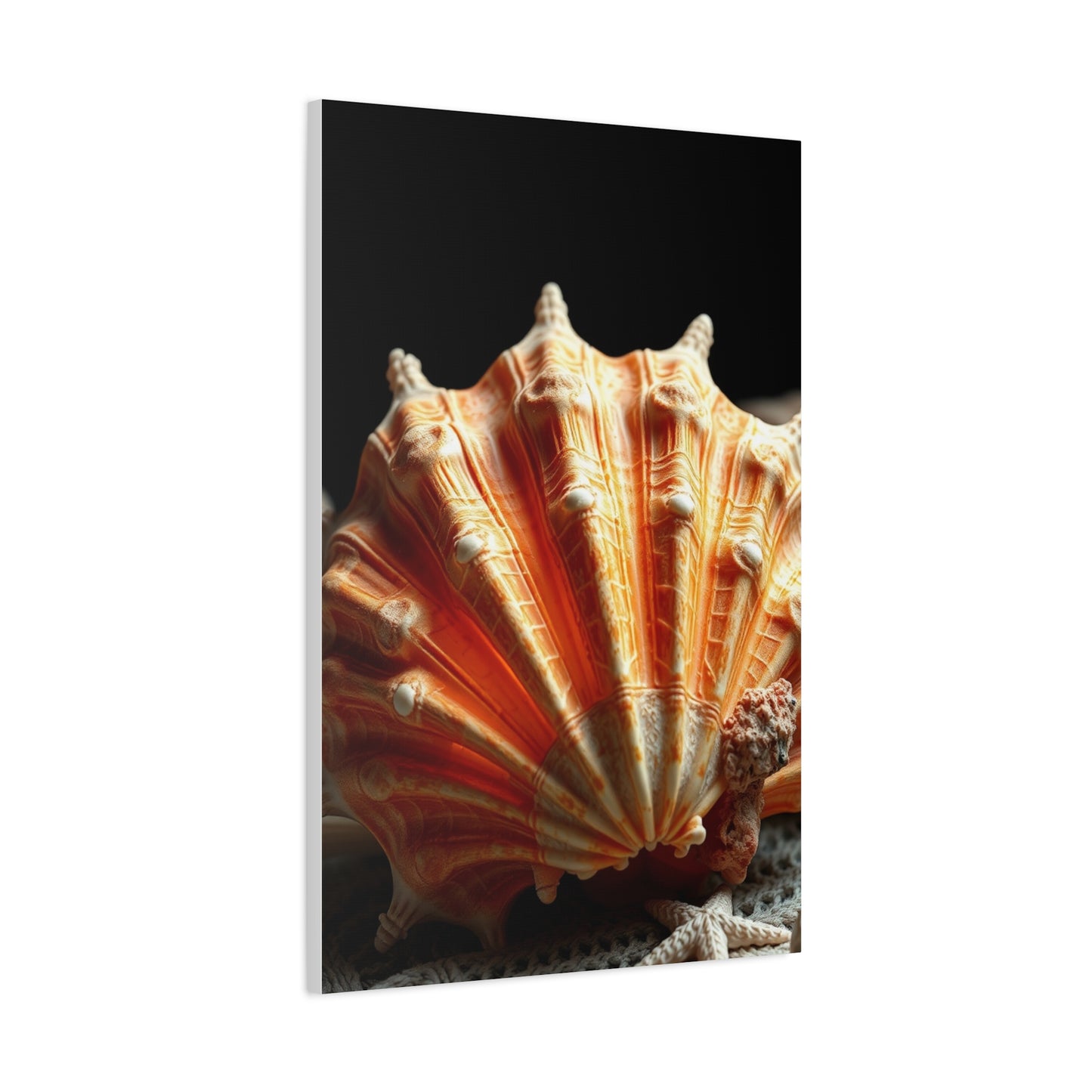 Sea Shell Art Supreme Gallery Wall Art & Canvas Print