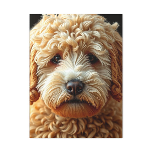 Golden Doodle Art Supreme Gallery Wall Art & Canvas Print