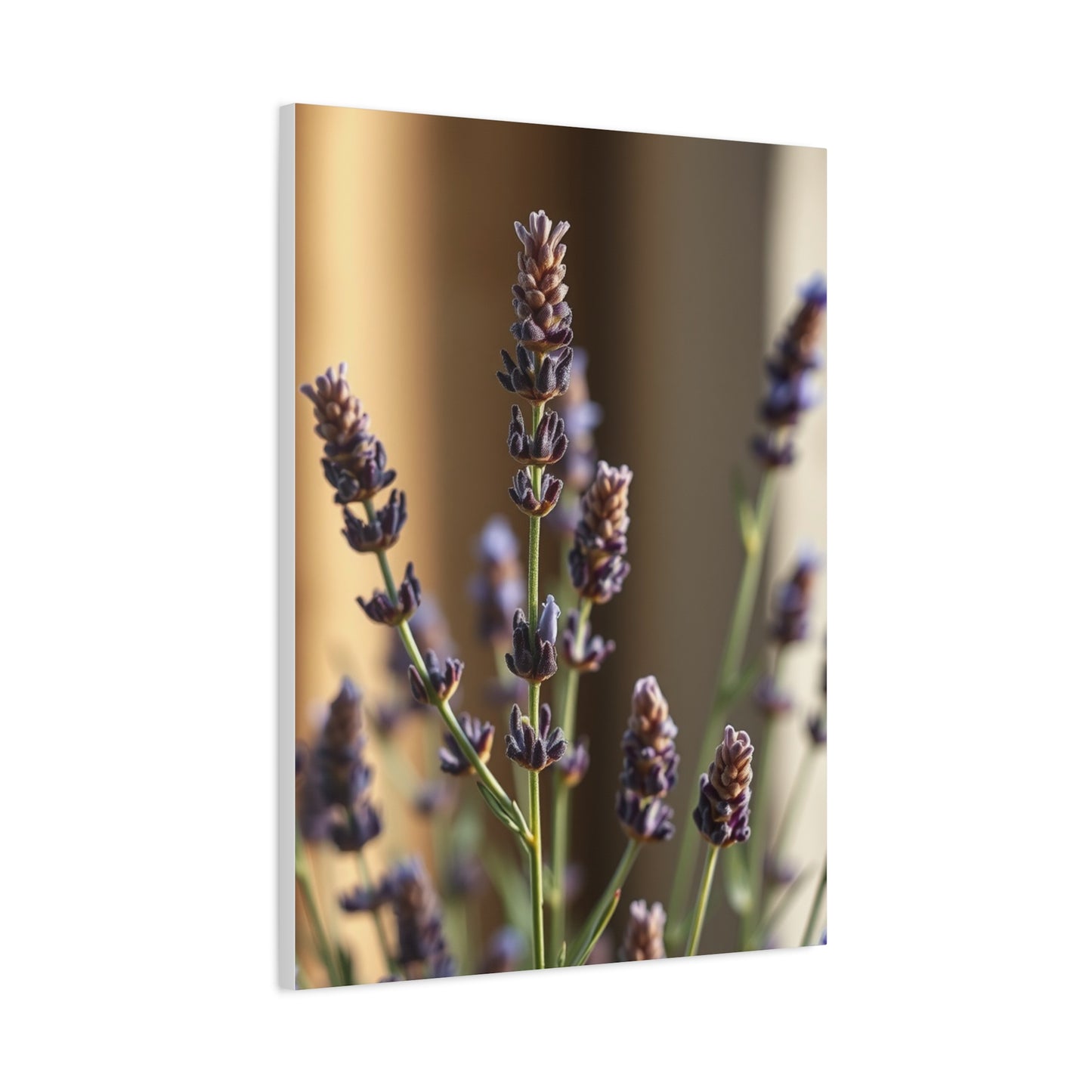 Lavender Herb Art Supreme Gallery Wall Art & Canvas Print