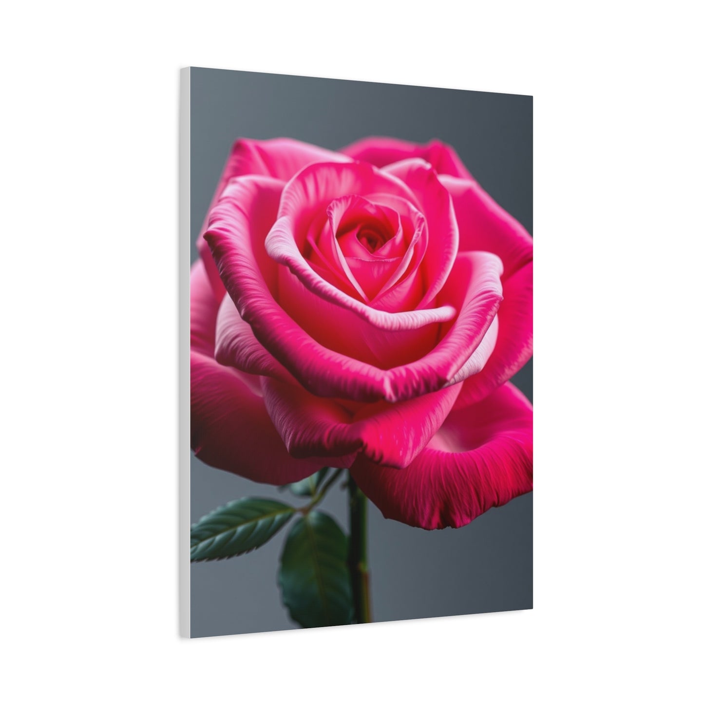 Rose Flower Art Luxury Canvas Wall Art & Canvas Print