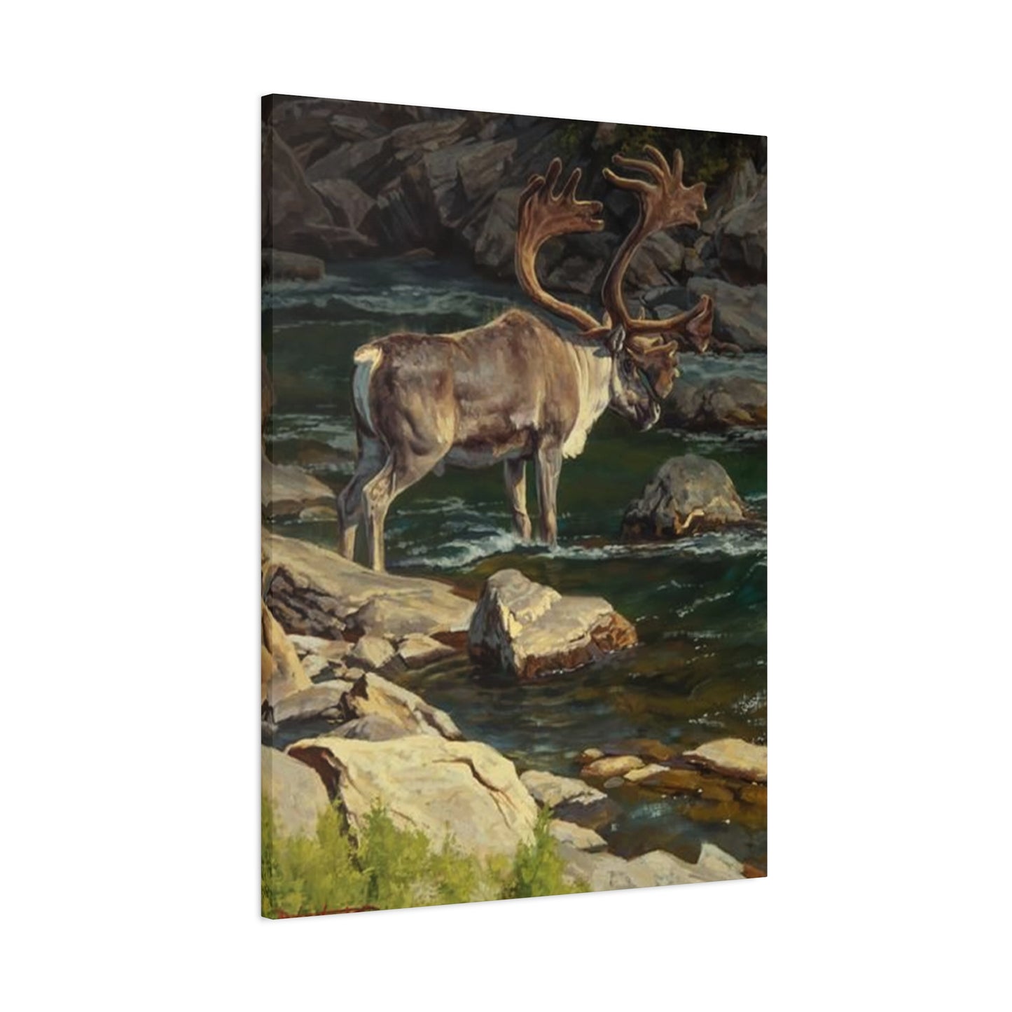 Reindeer Photography Wall Art & Canvas Prints