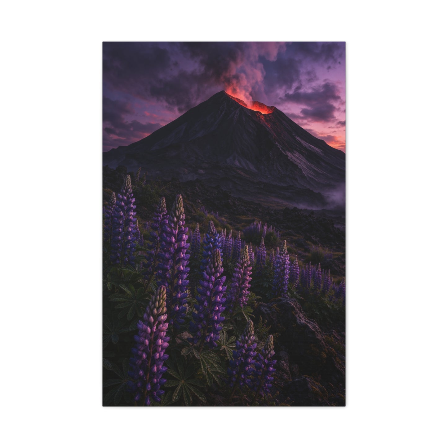 Volcanic Twilight & Wild Lupines Wall Art & Canvas Print