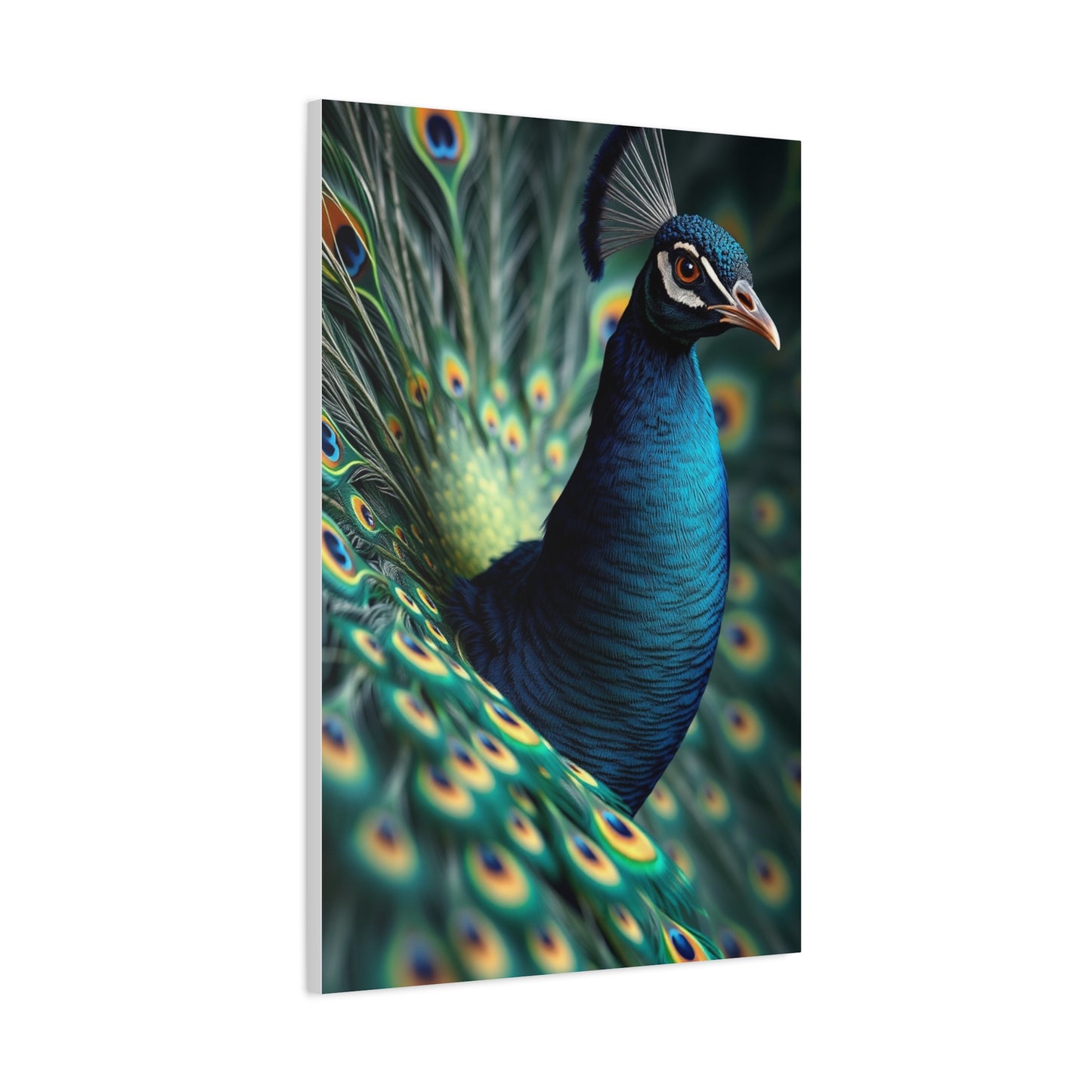 Peacock Art Luxury Canvas Wall Art & Canvas Print