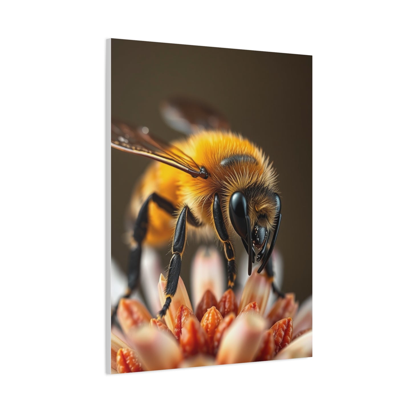 Supreme Bees Art Collection Wall Art & Canvas Print