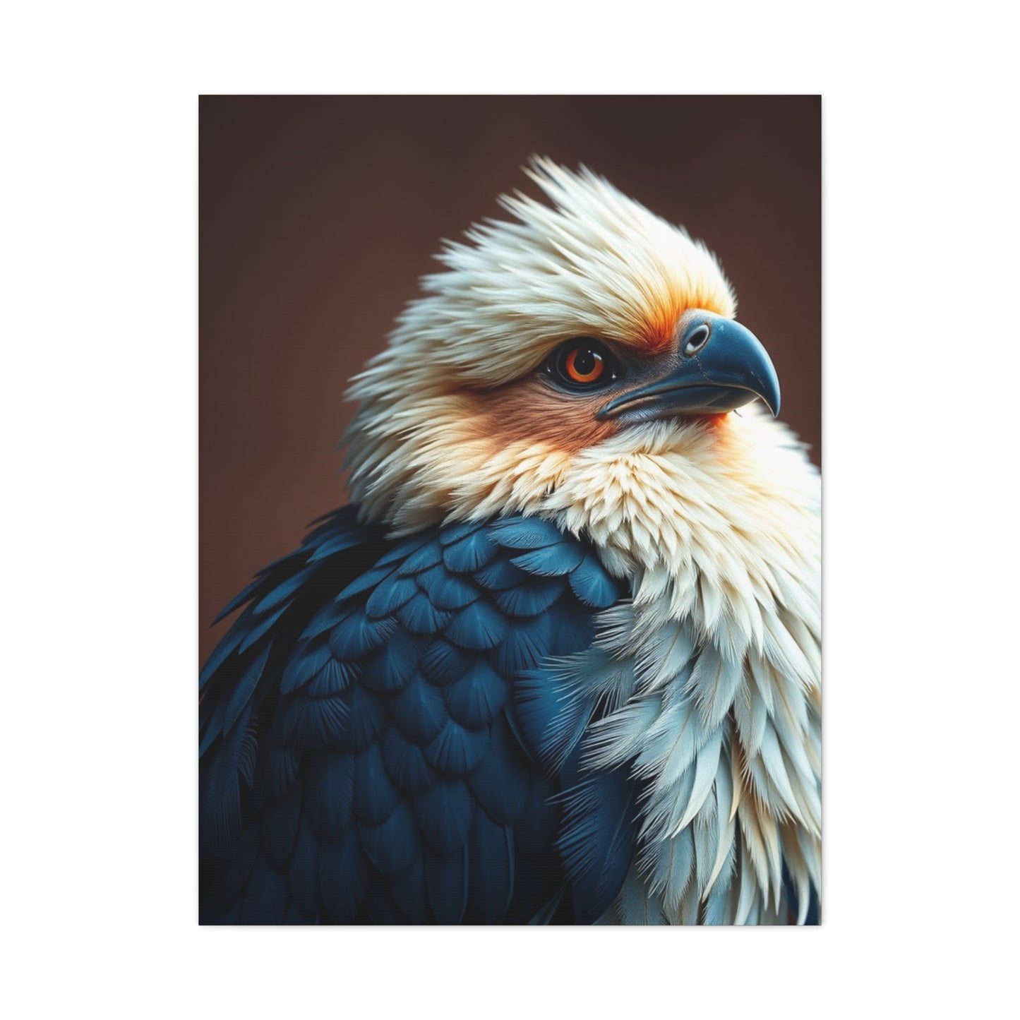 Aerial Ballet Composition Wall Art & Canvas Print