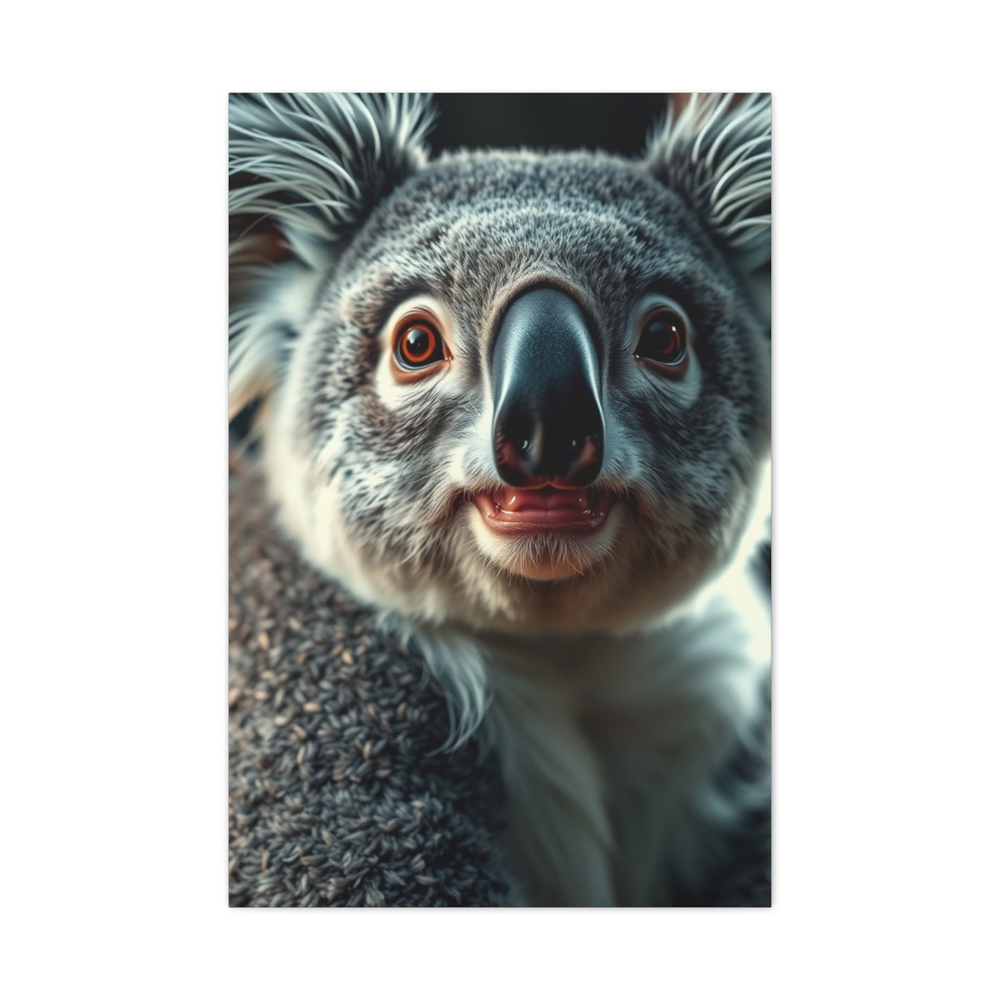 Collection Koala Art Art Wall Art & Canvas Print