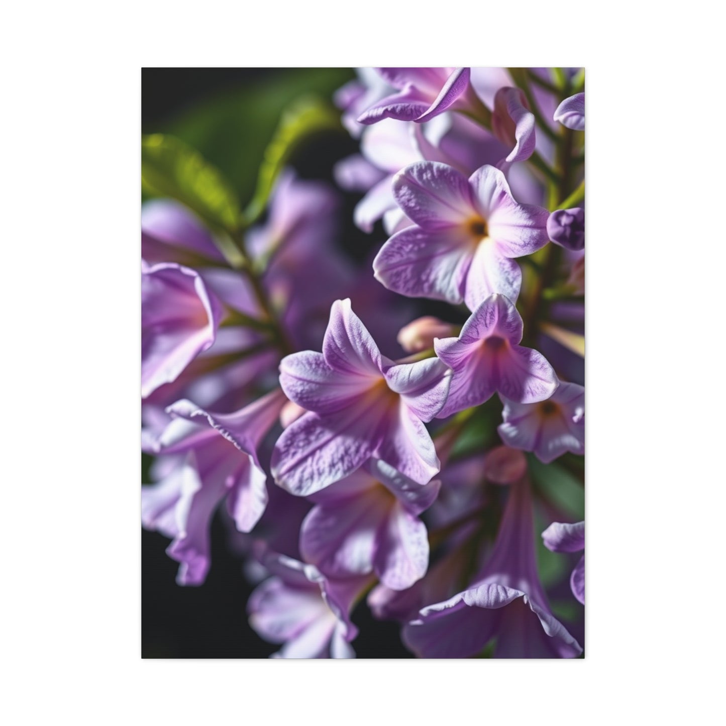 Vision Lilac Flower Art Art Wall Art & Canvas Print