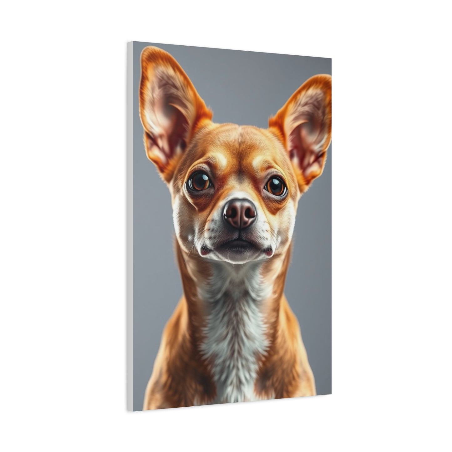 Supreme Chihuahua Dog Art Collection Wall Art & Canvas Print