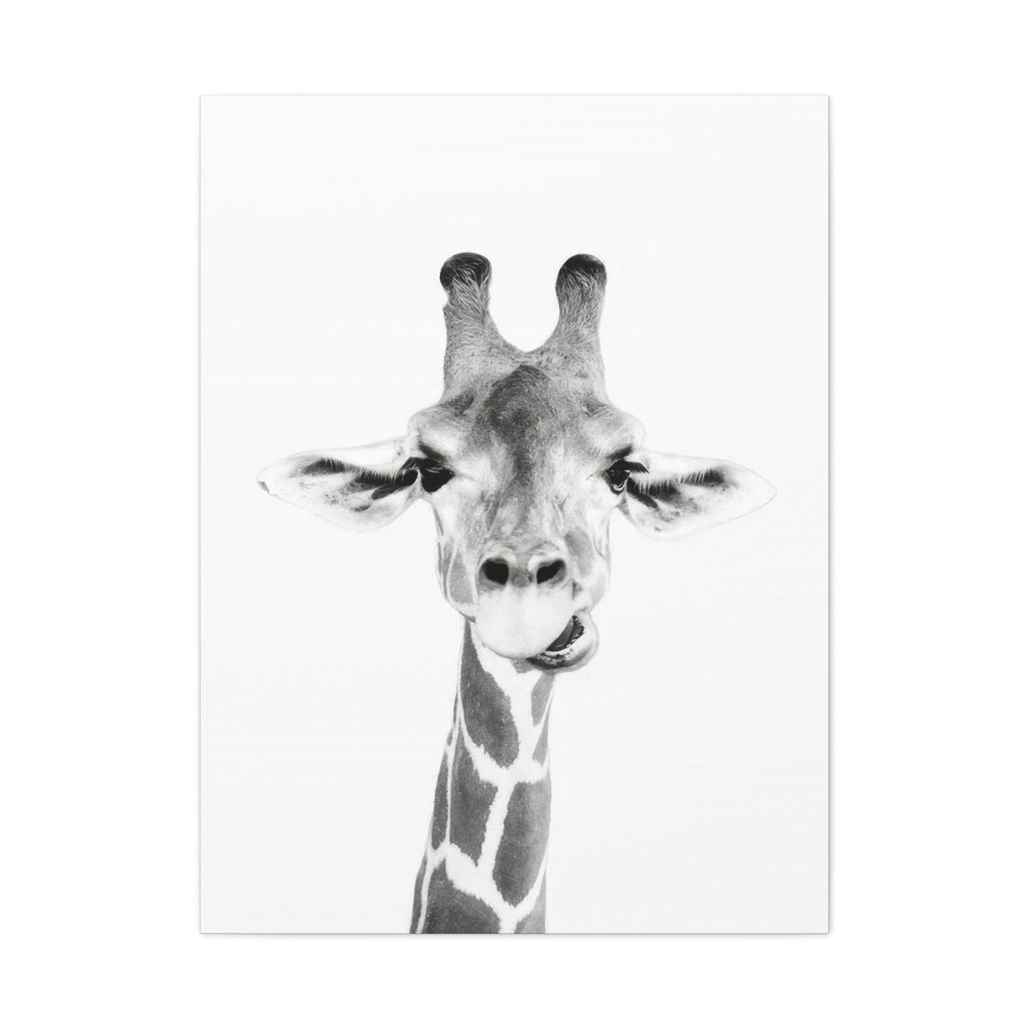 Kathrin Pienaar Baby Giraffe Wall Art & Canvas Prints