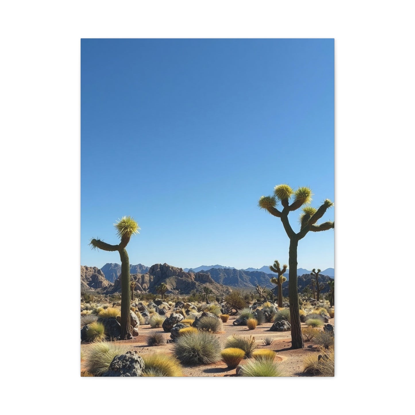 Vision Joshua Tree National Park Art Art Wall Art & Canvas Print