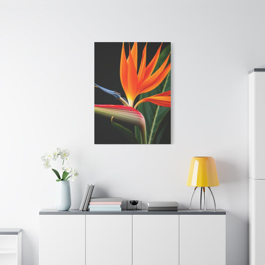 Bird of Paradise Plant Art Supreme Gallery Wall Art & Canvas Print