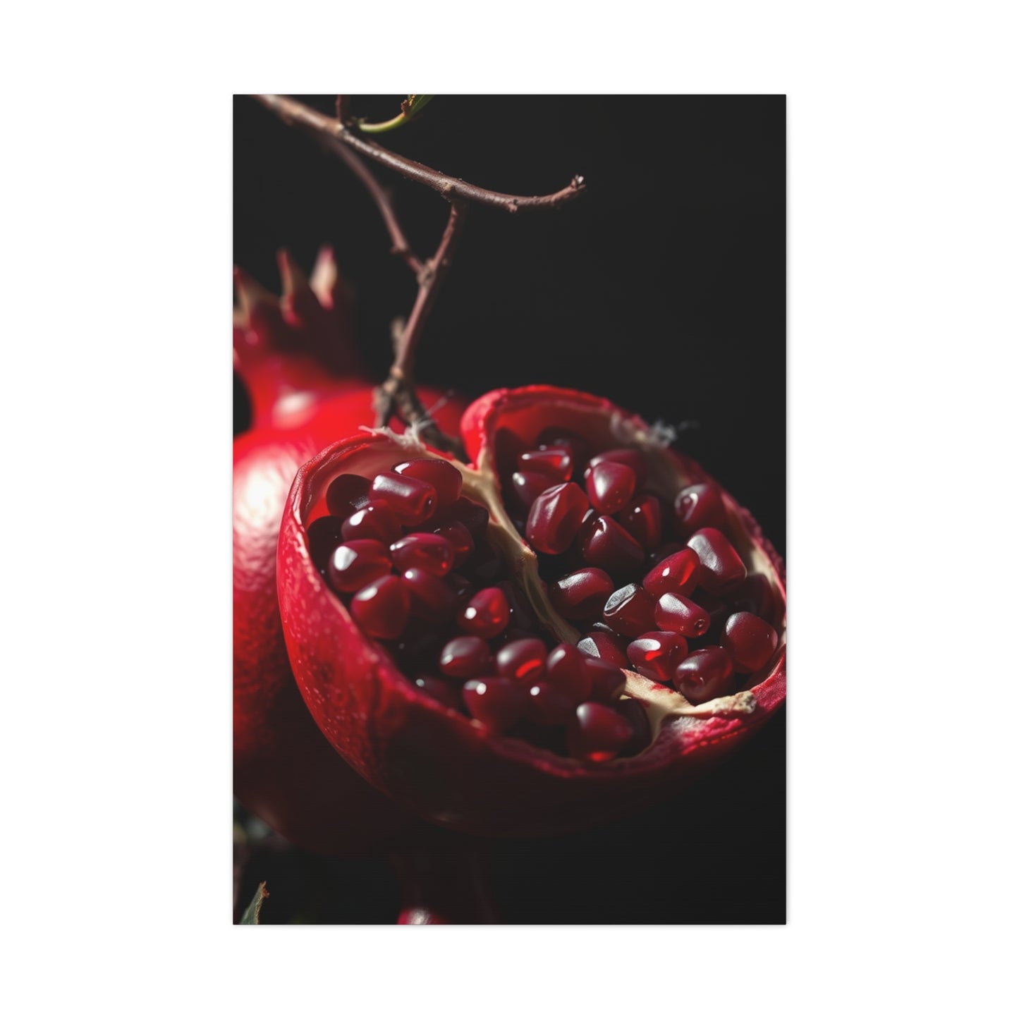 Supreme Pomegranate Noir Wall Art Collection Wall Art & Canvas Print