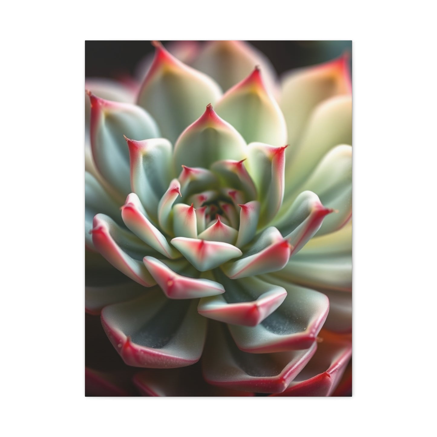 Succulent Art Refined Canvas Wall Art & Canvas Print