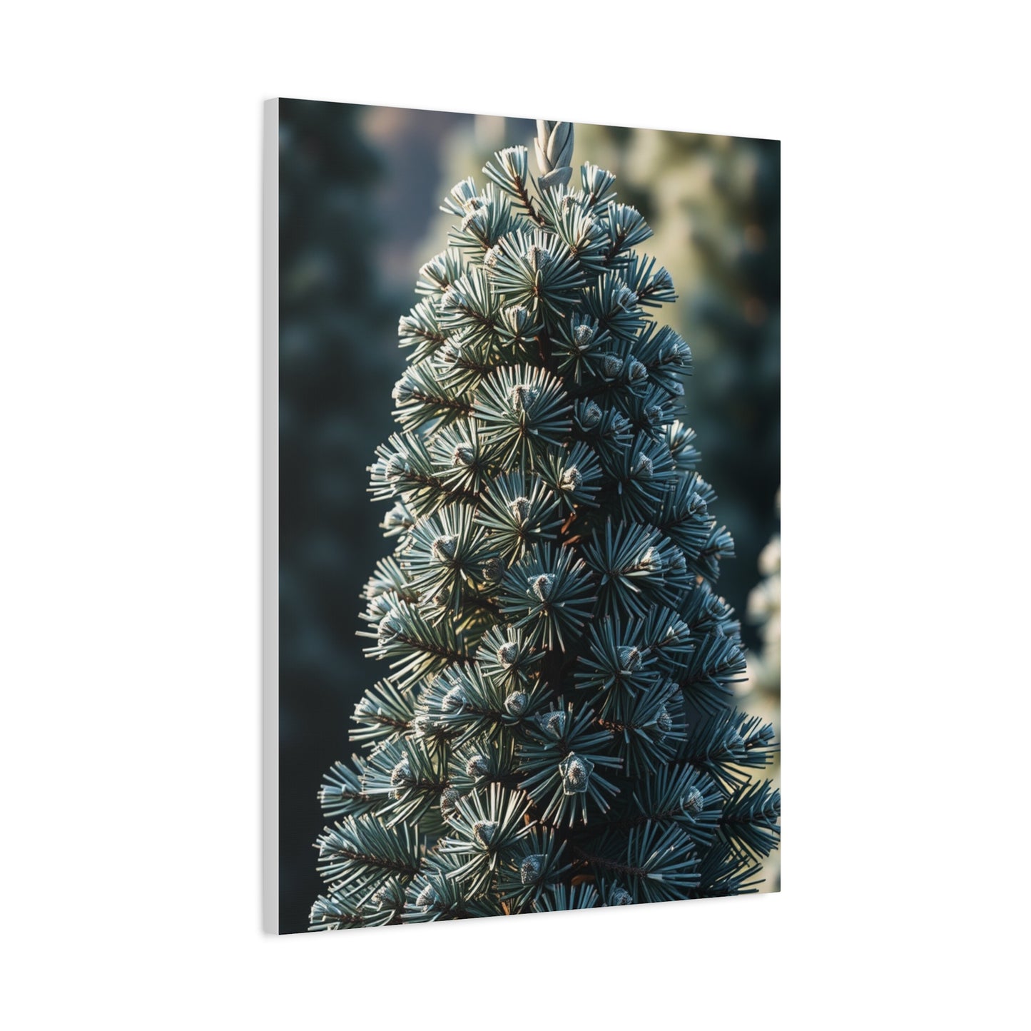 Collection Pine Tree Art Art Wall Art & Canvas Print