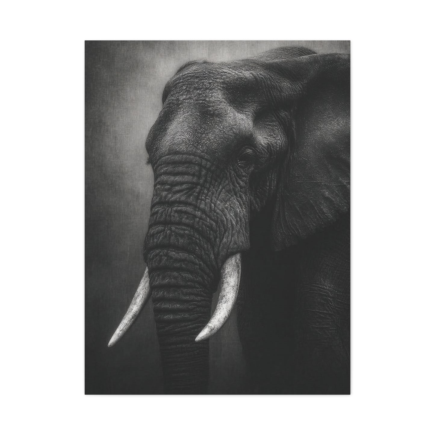 Monochrome Elephant Fine Art Portrait Wall Art & Canvas Print