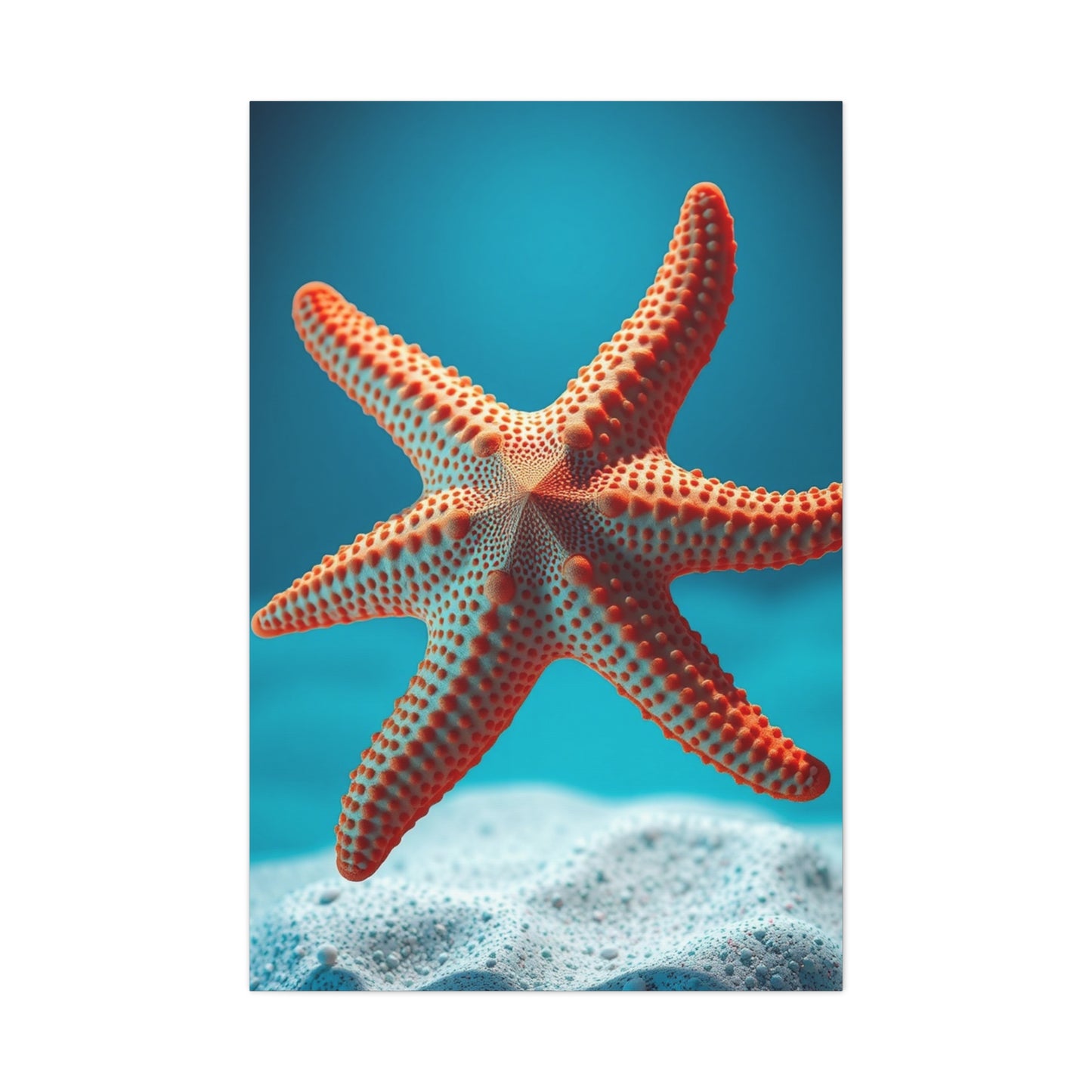Starfish Art Supreme Gallery Wall Art & Canvas Print