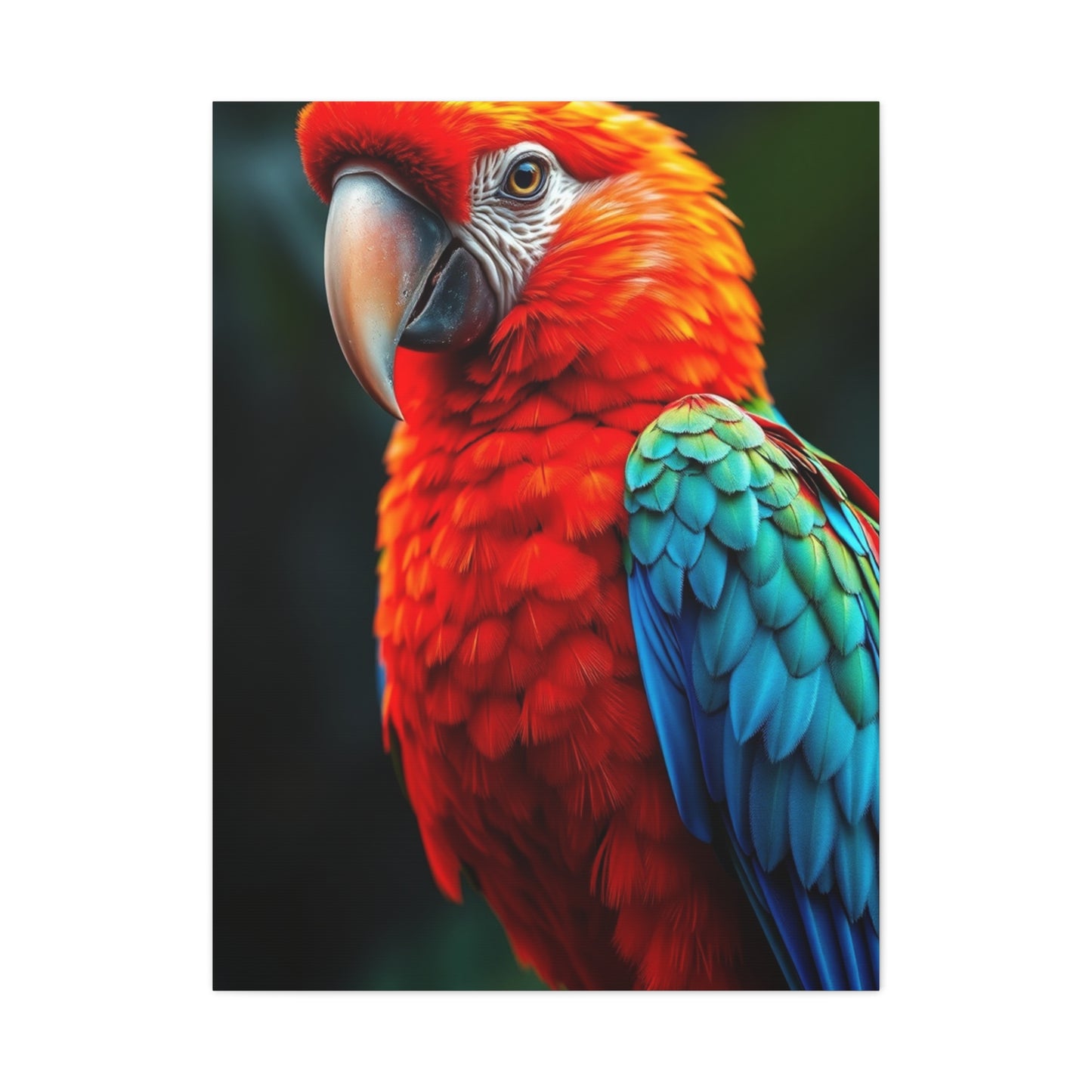 Supreme Tropical Birds Art Collection Wall Art & Canvas Print