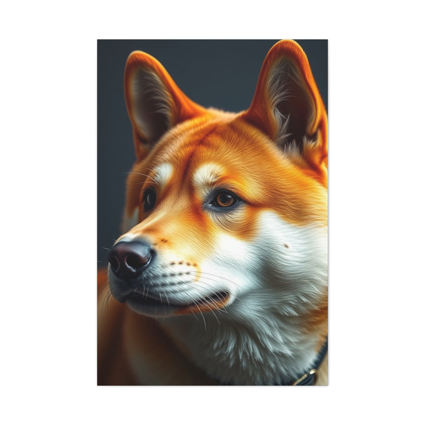 Shiba Inu Dog Art Refined Canvas Wall Art & Canvas Print