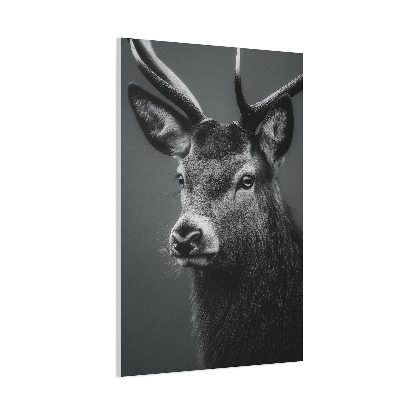 Highland Stag Moonlight Profile Wall Art & Canvas Print