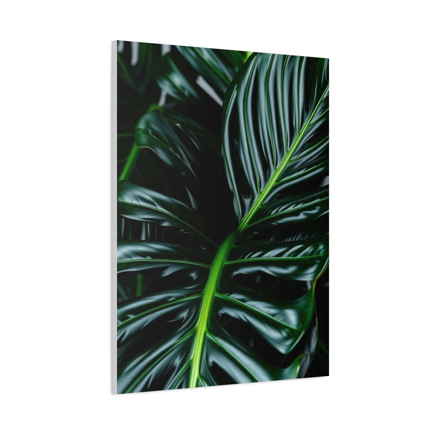 Monstera Plant Art Refined Canvas Wall Art & Canvas Print