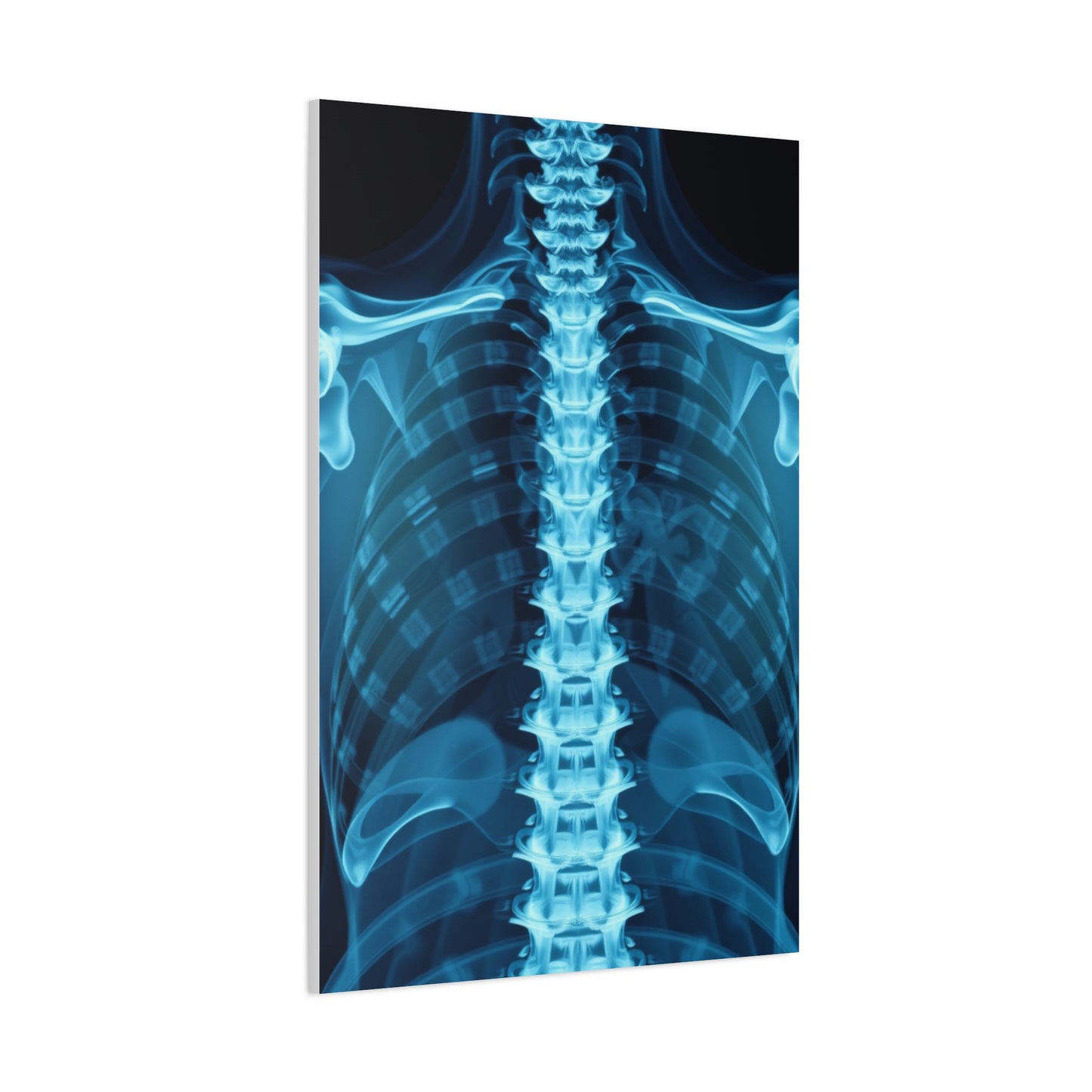 X-Ray Photography Art Supreme Gallery Wall Art & Canvas Print