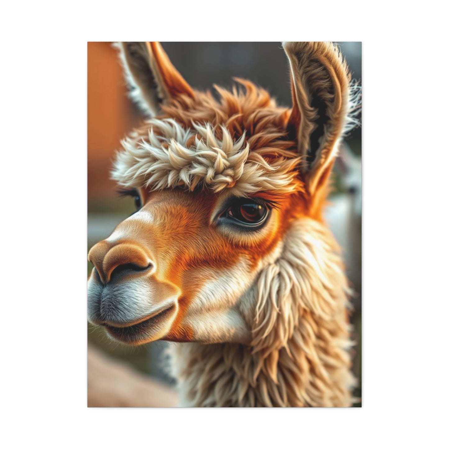 Llama & Alpaca Art Supreme Gallery Wall Art & Canvas Print