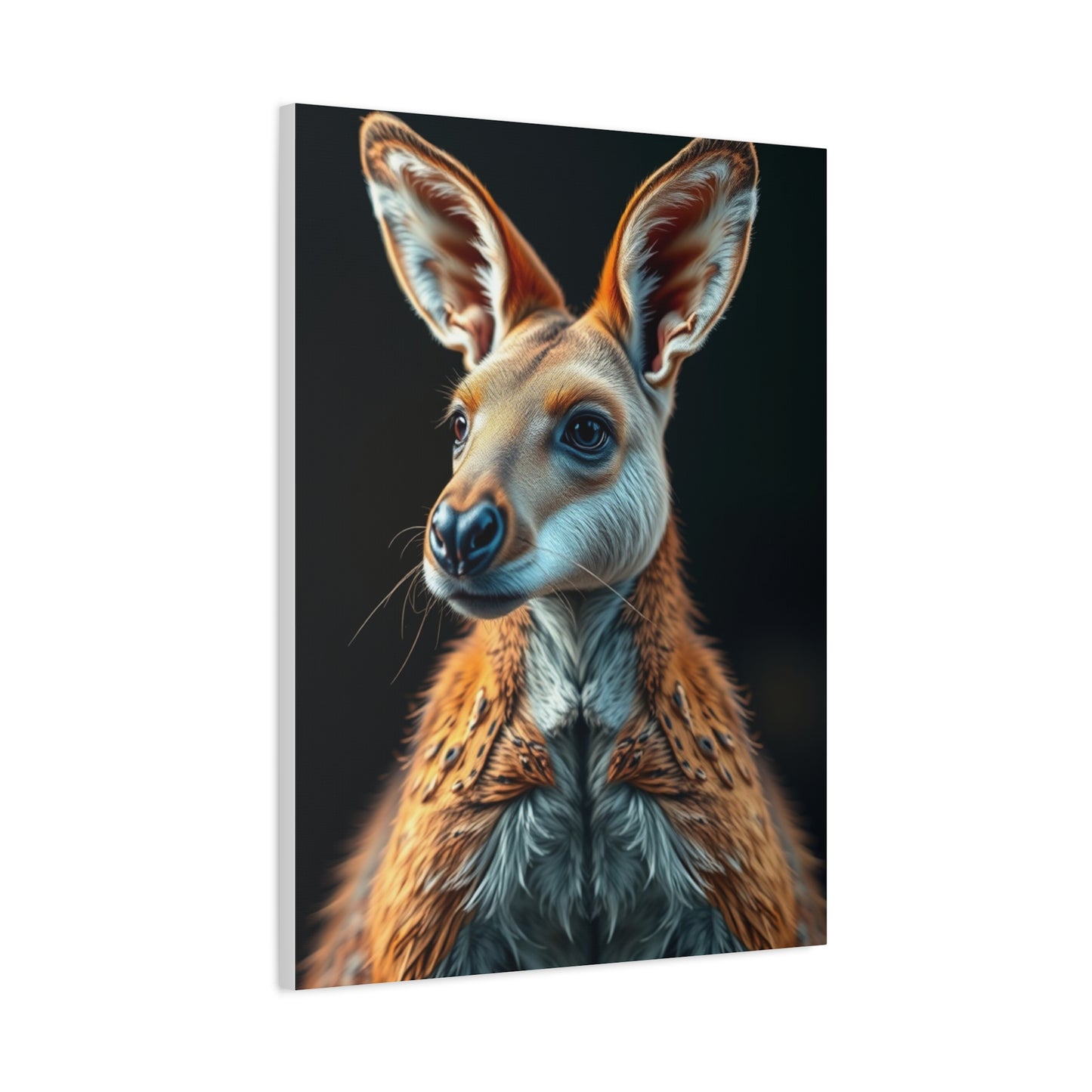 Collection Kangaroo Art Art Wall Art & Canvas Print