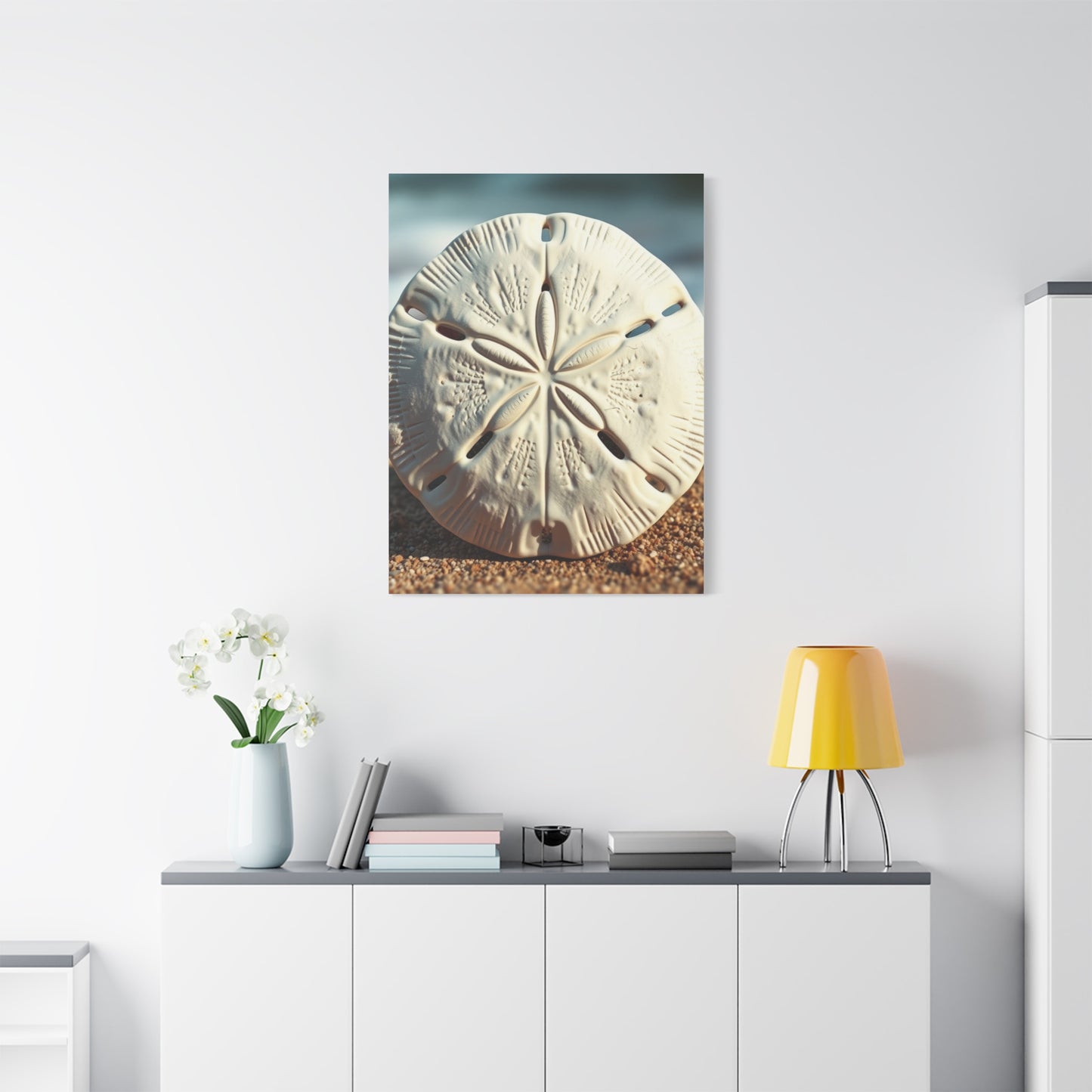Supreme Sand Dollar Art Collection Wall Art & Canvas Print