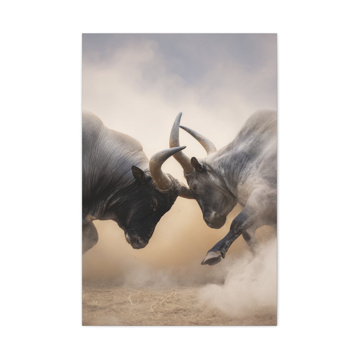 Bulls Clashing Horns Dramatic Wildlife Wall Art & Canvas Print