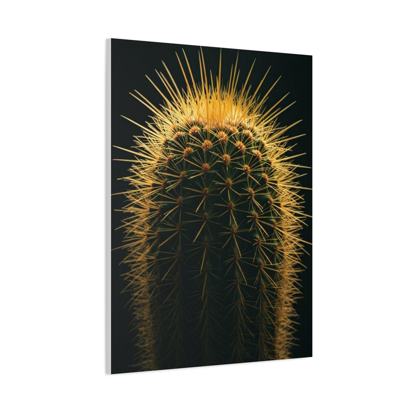 Golden Halo Cactus Sculpture Wall Art & Canvas Prints