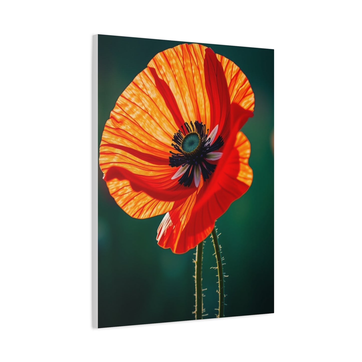 Elite Poppy Flower Art Vision Wall Art & Canvas Print