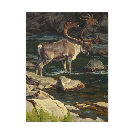 Reindeer Photography Wall Art & Canvas Prints