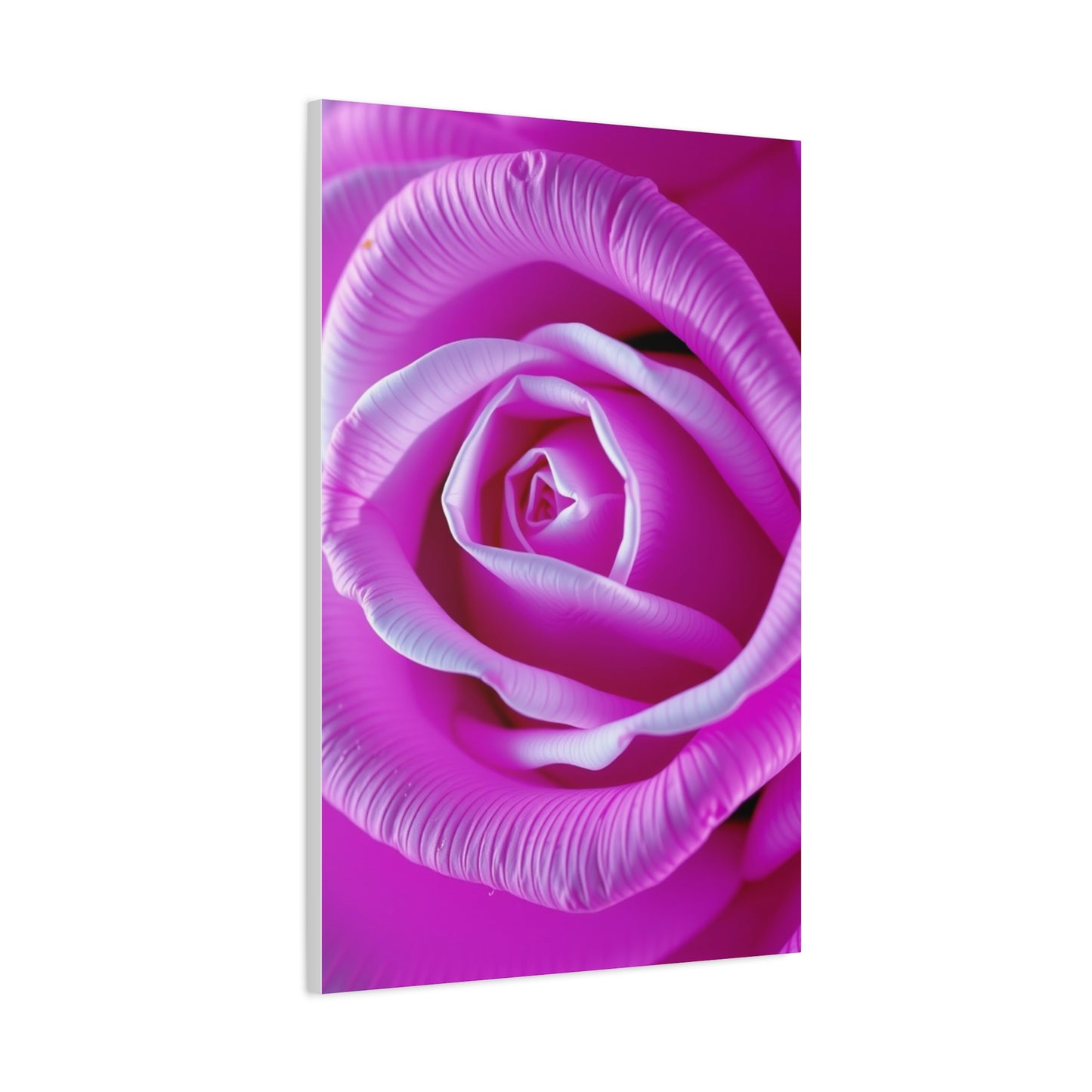 Rose Art Supreme Gallery Wall Art & Canvas Print