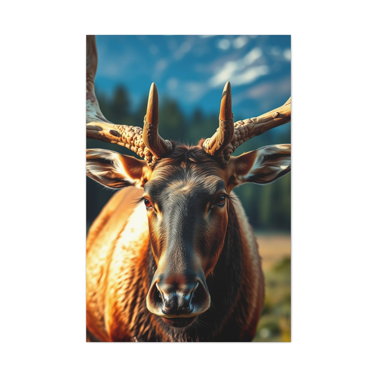 Supreme Elk Art Collection Wall Art & Canvas Print