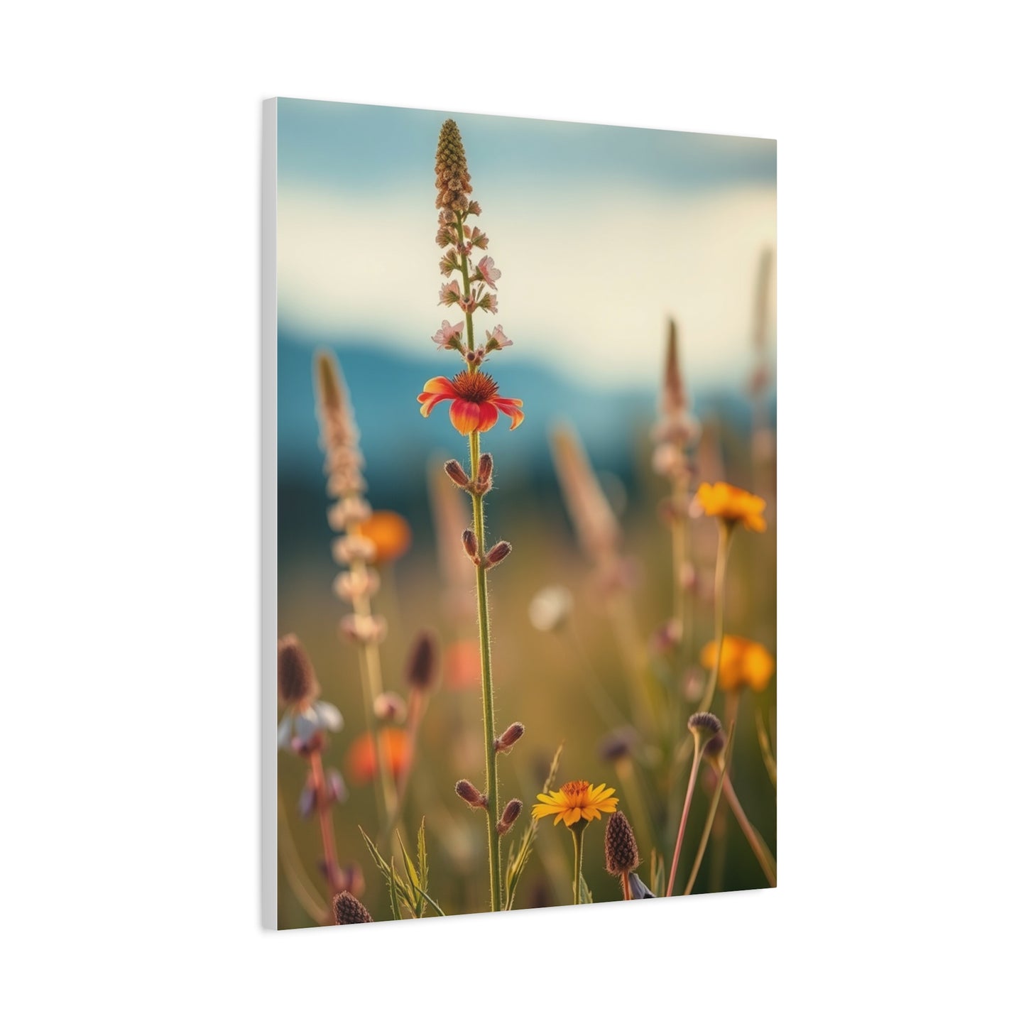 Supreme Wildflowers Art Collection Wall Art & Canvas Print