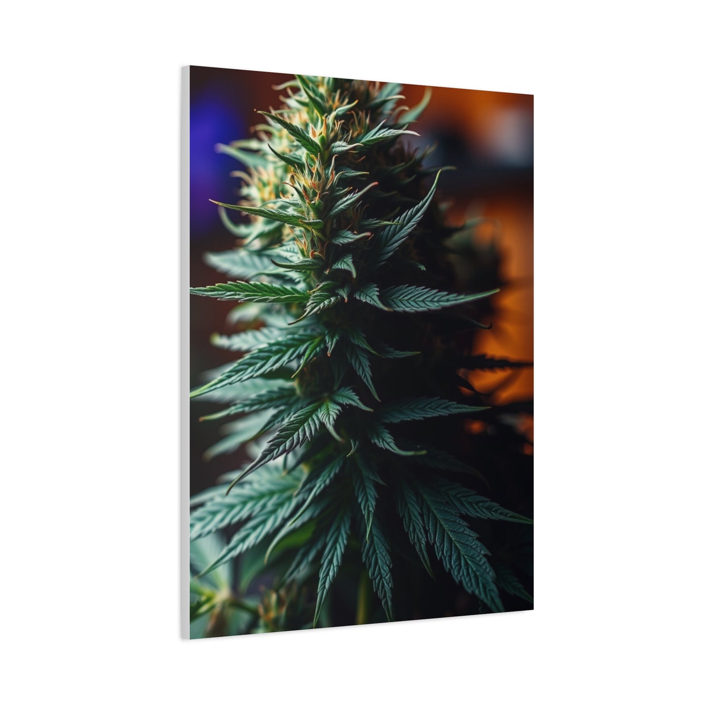 Herbal Opulence Wall Décor Wall Art & Canvas Print