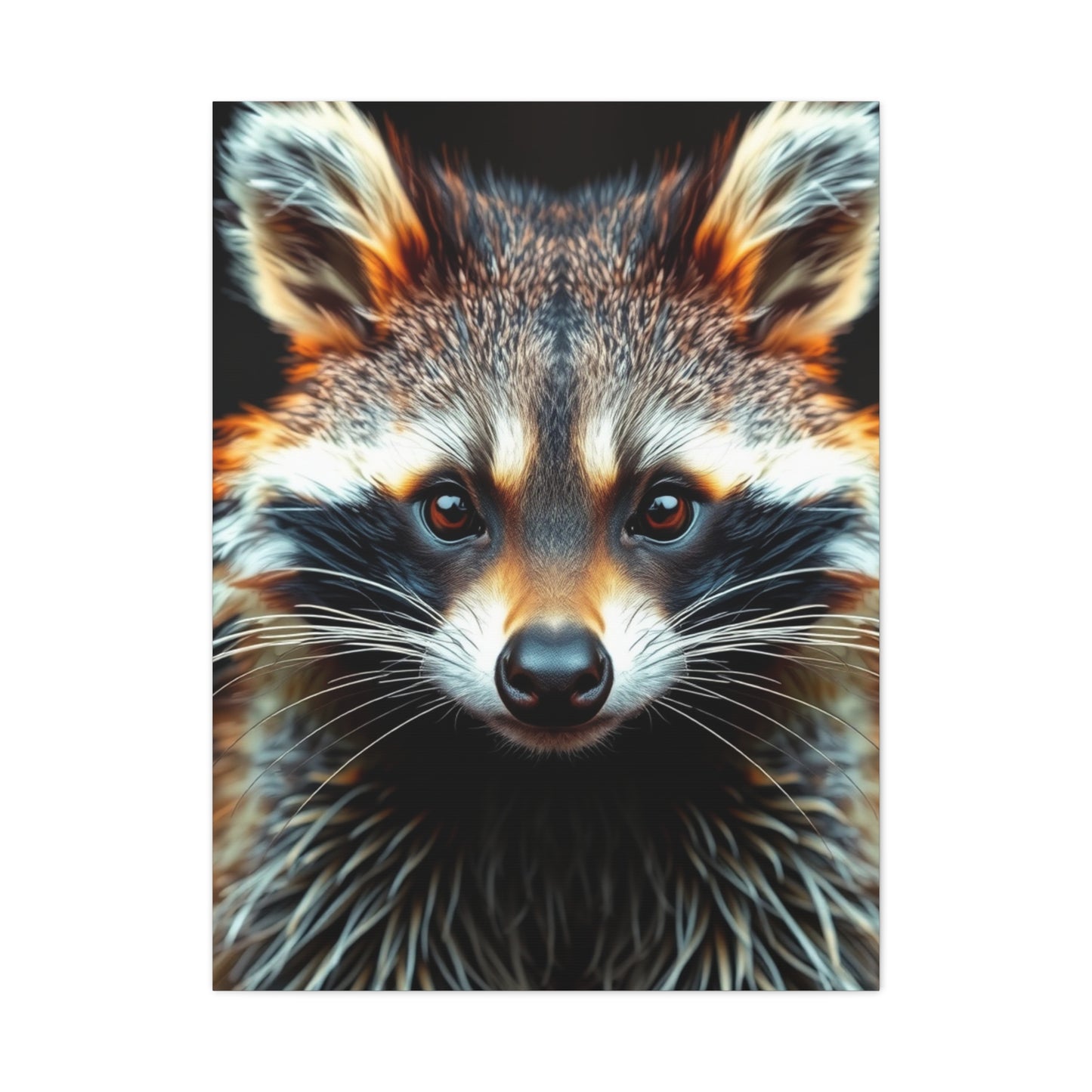 Raccoon Art Refined Canvas Wall Art & Canvas Print